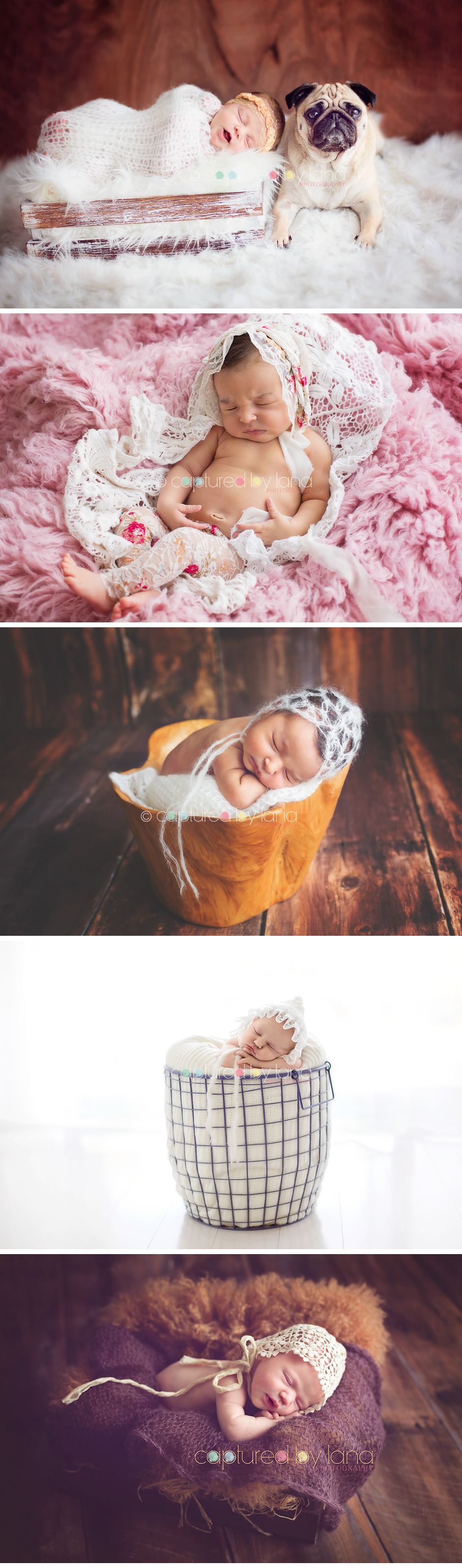 All gorgeous newborn babies